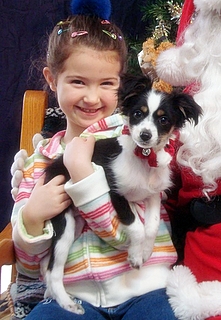 Buzz < Abbie and Biscuit _BC