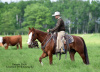 GLH Peppy Gun 2009 AQHA Sorrel gelding 